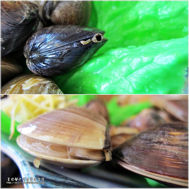 16蛤蠣鍋2