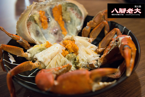 八腳老大螃蟹粥火鍋:【台北|八腳老大】吃到滿足幸福感的溫潤螃蟹粥火鍋