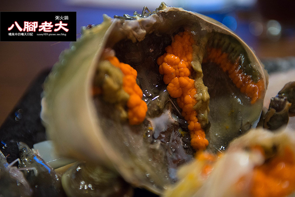 八腳老大螃蟹粥火鍋:【台北|八腳老大】吃到滿足幸福感的溫潤螃蟹粥火鍋