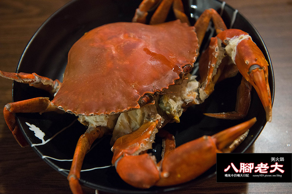 八腳老大螃蟹粥火鍋:【台北|八腳老大】吃到滿足幸福感的溫潤螃蟹粥火鍋