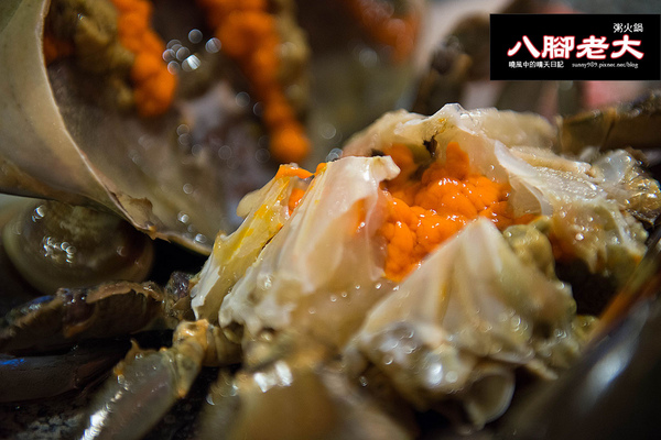 八腳老大螃蟹粥火鍋:【台北|八腳老大】吃到滿足幸福感的溫潤螃蟹粥火鍋