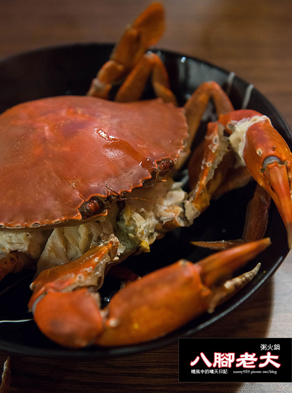 八腳老大螃蟹粥火鍋:【台北|八腳老大】吃到滿足幸福感的溫潤螃蟹粥火鍋