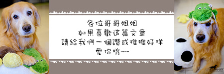 八腳老大螃蟹粥火鍋:【台北|八腳老大】吃到滿足幸福感的溫潤螃蟹粥火鍋