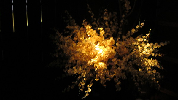 本燔野菜農場(台北南京店)：『本燔野菜農場』吃的好滿足\*0*/