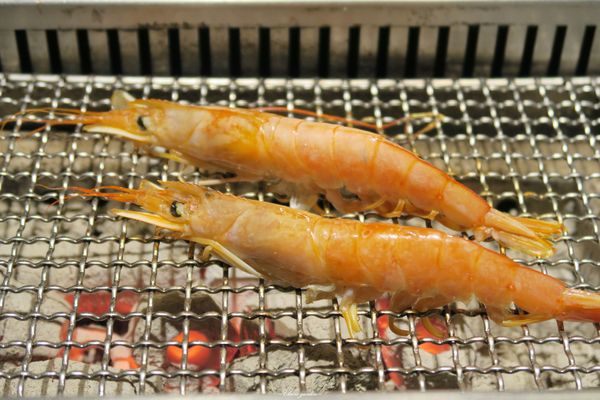 原燒優質原味燒肉(台北南京東店)：[試吃]台北 捷運中山站 原燒~原選海陸雙饗一次吃遍13海陸主食