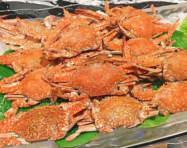 【台北餐廳】台北晶華酒店栢麗廳-自助式buffet吃到飽