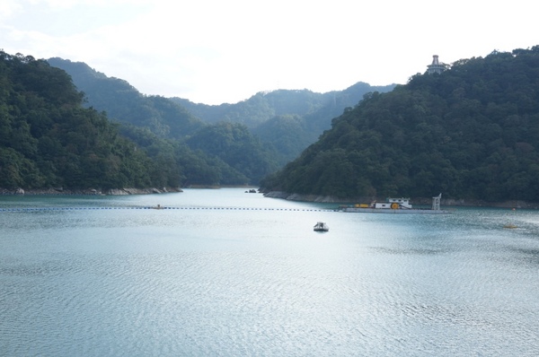石門水庫:花況實境2013.12.7冬初賞楓趣【桃園/石門水庫】