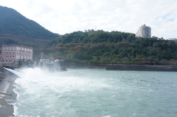 石門水庫:花況實境2013.12.7冬初賞楓趣【桃園/石門水庫】