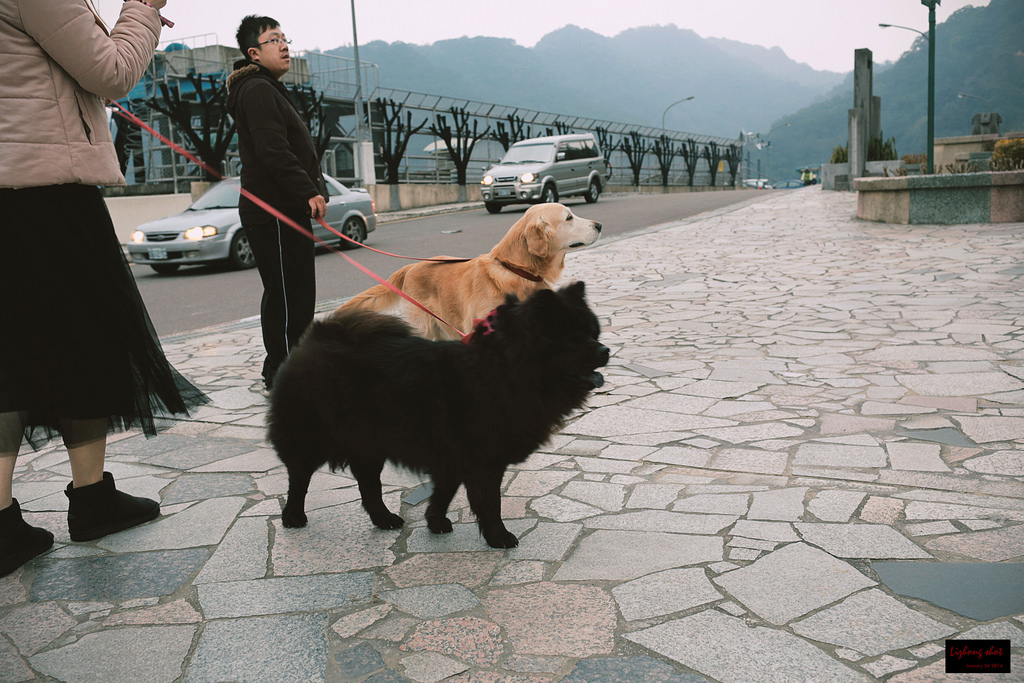 石門水庫的溜雙狗任務