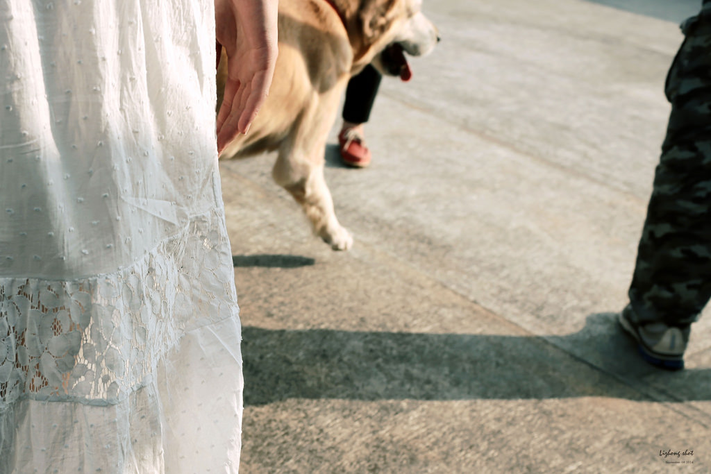 那個從枕頭山變成的薑母島