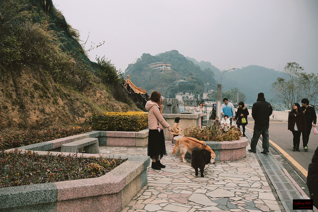 石門水庫的溜雙狗任務