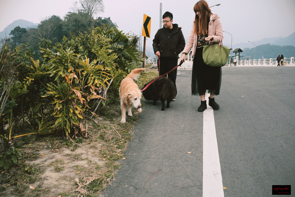 石門水庫的溜雙狗任務