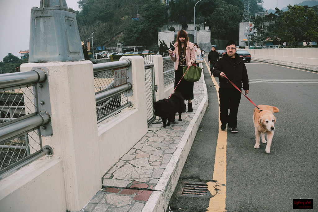 石門水庫的溜雙狗任務