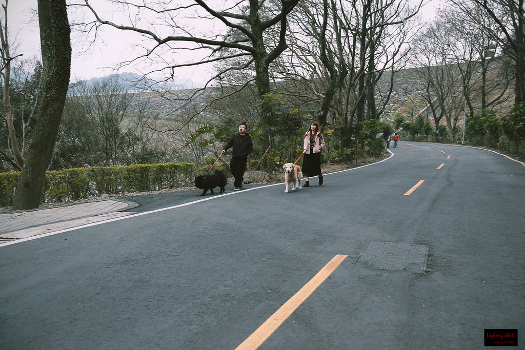 石門水庫的溜雙狗任務