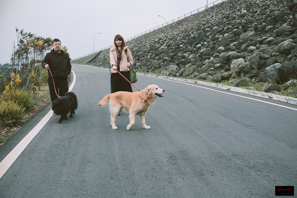 石門水庫的溜雙狗任務