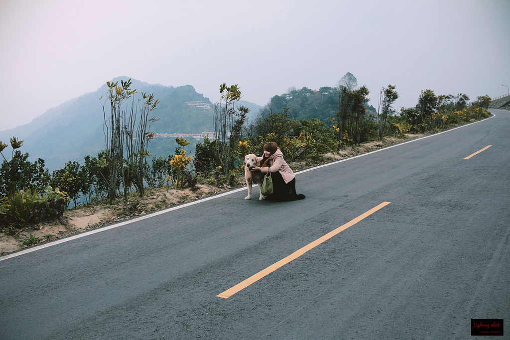 石門水庫的溜雙狗任務