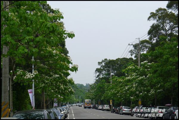 石門水庫桐花大道38.JPG