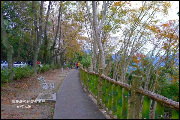 石門水庫楓紅了18.JPG