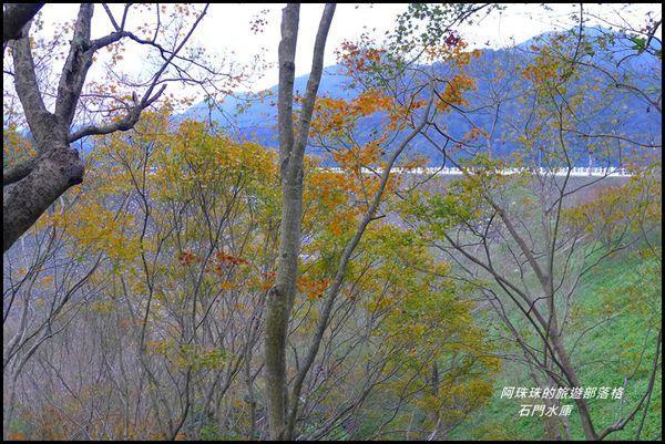 石門水庫楓紅了26.JPG