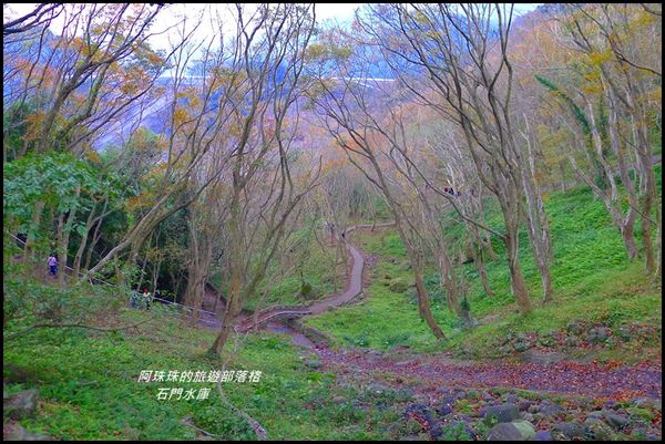 石門水庫楓紅了19.JPG