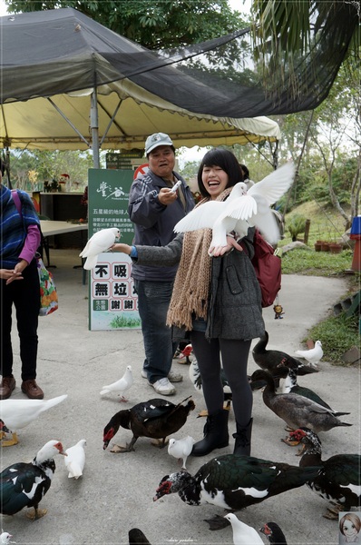 立川漁場：[花蓮爆點一日遊]花蓮 立川漁場~摸蜆兼洗褲之黃金蜆的故鄉