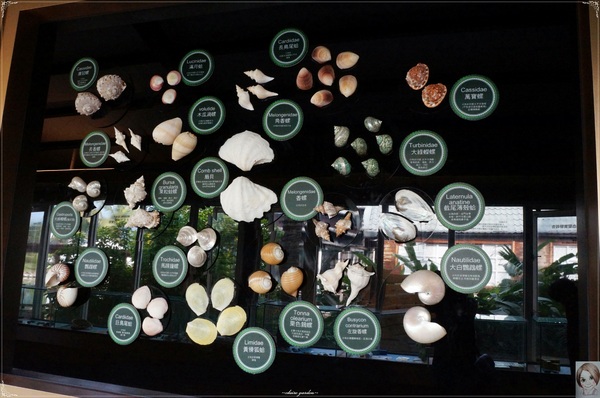 立川漁場：[花蓮爆點一日遊]花蓮 立川漁場~摸蜆兼洗褲之黃金蜆的故鄉