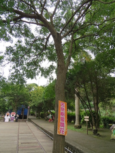 合興車站：像公園一樣的車站【新竹橫山/合興車站】