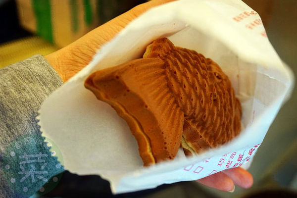 DSC08314 (複製).JPG