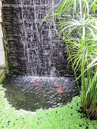 歐加里(台南大學店):歐加里(台南大學店)。下午茶吃到飽【愛評陸拾玖卷】