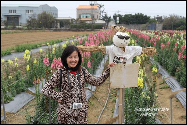 向陽農場38.JPG