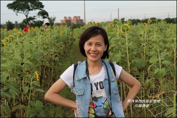 向陽農場19.JPG