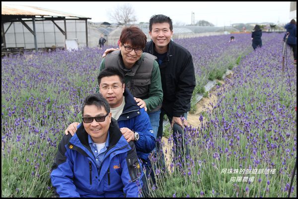 向陽農場24.JPG