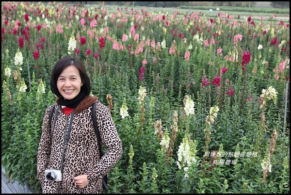 向陽農場32.JPG