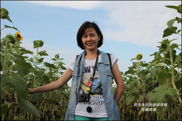 向陽農場20.JPG