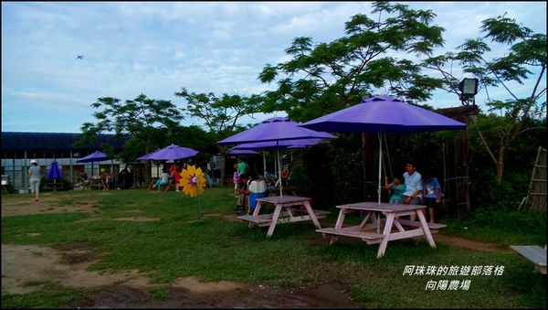 向陽農場10.jpg