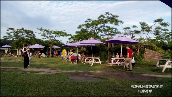 向陽農場12.jpg