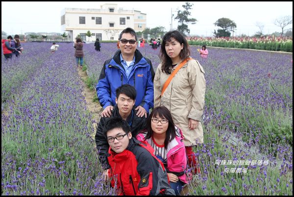 向陽農場26.JPG
