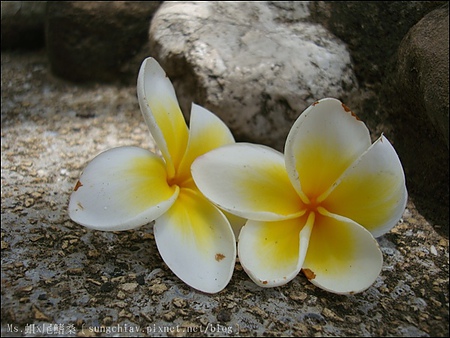 安平古堡：［台南安平］安平古堡．台灣最古老的城堡