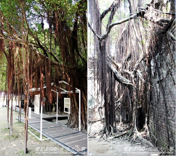 安平樹屋：【台南/安平】千年老妖精的樹屋~安平樹屋