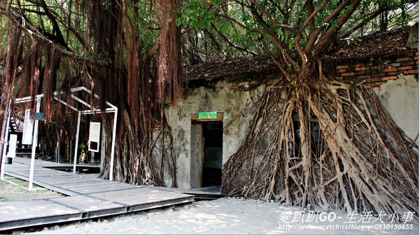 安平樹屋：【台南/安平】千年老妖精的樹屋~安平樹屋