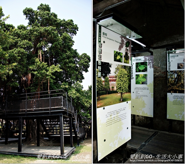 安平樹屋：【台南/安平】千年老妖精的樹屋~安平樹屋