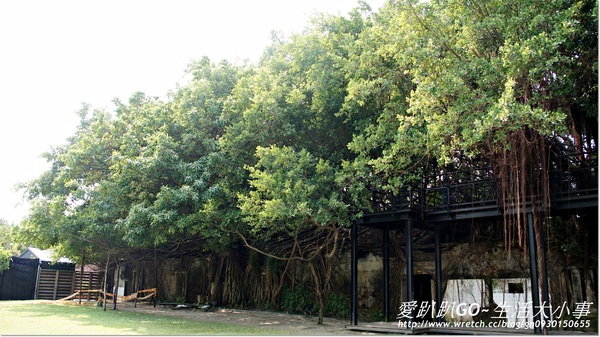 安平樹屋：【台南/安平】千年老妖精的樹屋~安平樹屋