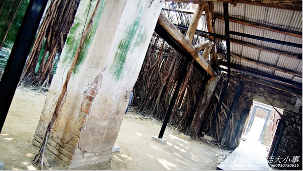 安平樹屋：【台南/安平】千年老妖精的樹屋~安平樹屋