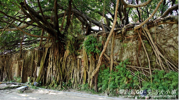 安平樹屋：【台南/安平】千年老妖精的樹屋~安平樹屋