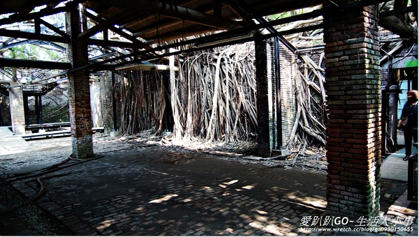 安平樹屋：【台南/安平】千年老妖精的樹屋~安平樹屋