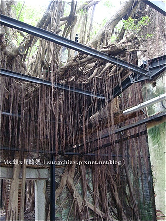 安平樹屋：［台南安平］安平樹屋 & 英商德記洋行 & 蜷尾家x樹屋咖啡