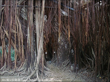 安平樹屋：［台南安平］安平樹屋 & 英商德記洋行 & 蜷尾家x樹屋咖啡