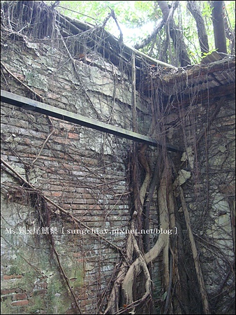 安平樹屋：［台南安平］安平樹屋 & 英商德記洋行 & 蜷尾家x樹屋咖啡