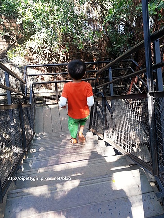 安平古蹟一日遊:安平樹屋也有蜷尾家vs安平古堡vs夕遊出張所半日遊