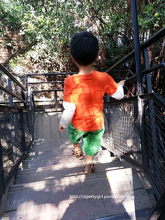 安平古蹟一日遊:安平樹屋也有蜷尾家vs安平古堡vs夕遊出張所半日遊